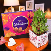 Lucky Bamboo Cadbury Gift combo with a decorative potted bamboo plant and Cadbury Celebrations chocolates, perfect for birthdays and special occasions.